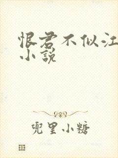 恨君不似江楼月小说封面