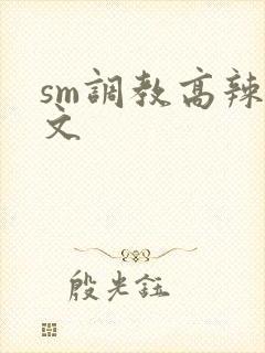 sm调教高辣h文