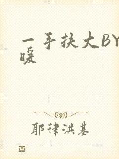 一手扶大BY泱暖封面