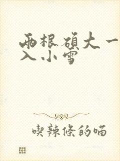 两根硕大一起挤入小雪