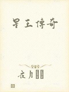 星王传奇封面