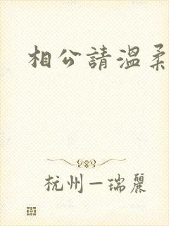 相公请温柔一点封面