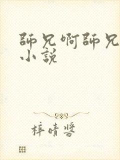 师兄啊师兄原著小说封面