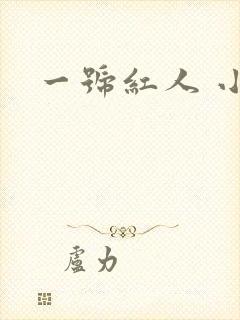 一号红人 小说