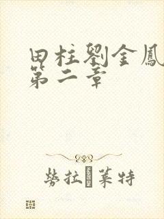 田柱刘金凤小说第二章