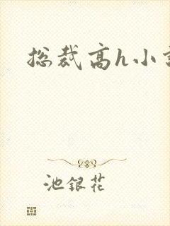 总裁高h小说封面