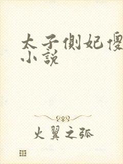 太子侧妃傻乎乎小说封面