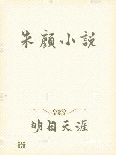 朱颜小说