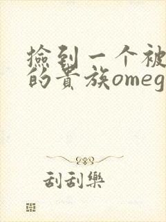 捡到一个被抹布的贵族omega