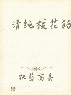 清纯校花的被