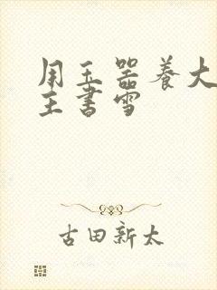 用玉器养大的公主书雪封面