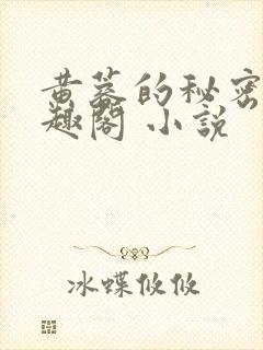 黄蓉的秘密 笔趣阁 小说