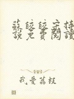 苏皎皎宋持的小说免费阅读