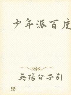 少年派百度百科