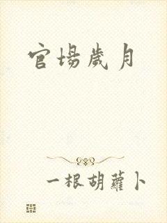 官场岁月封面
