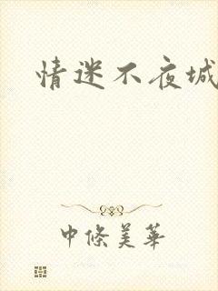 情迷不夜城封面