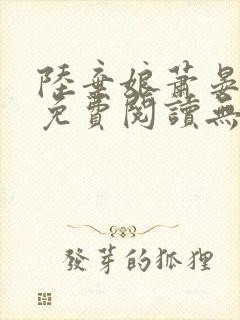 陆弃娘萧晏全文免费阅读无弹窗封面