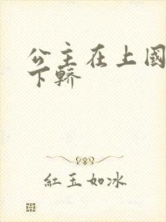 公主在上国师请下轿