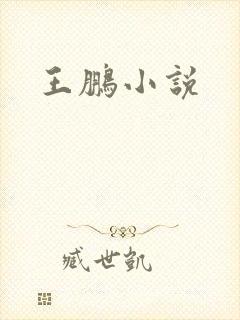 王鹏小说