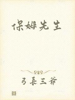 保姆先生