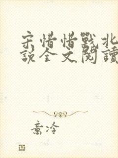 宋惜惜战北望小说全文阅读
