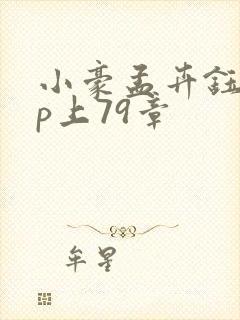 小豪孟卉钰慧三p上79章封面