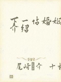 下一站婚姻剧情介绍