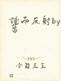 镜面反射by九葛