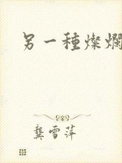 另一种灿烂生活