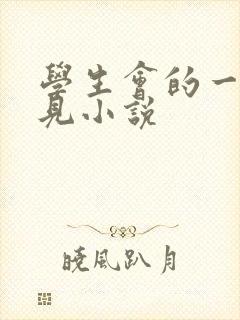 学生会的一己之见小说