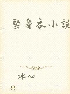 紧身衣小说封面