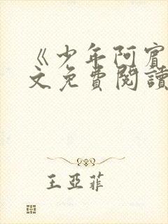 《少年阿宾》全文免费阅读