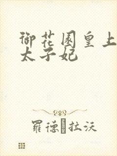 御花园皇上撞着太子妃