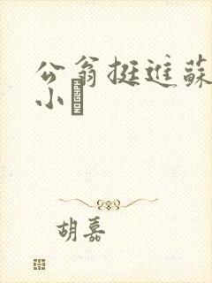 公翁挺进苏玥的小泬