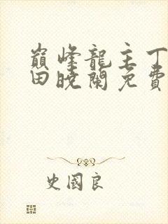 巅峰龙主丁长顺田晓兰免费阅读