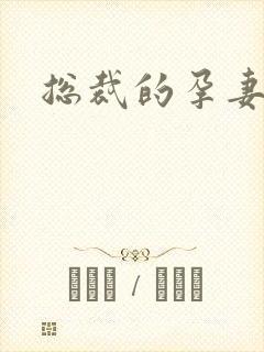 总裁的孕妻封面