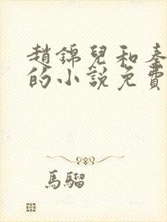 赵锦儿和秦慕修的小说免费阅读全文