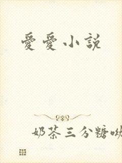 爱爱小说