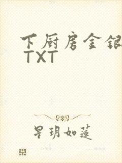 下厨房金银花露 TXT