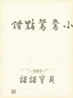 错点鸳鸯小说