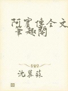 阿宾传全文阅读 笔趣阁