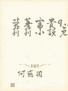 荣华富贵9小王莉莉小说免费阅读封面