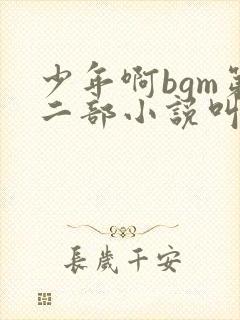 少年啊bgm第二部小说叫什么