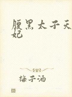 腹黑太子天降萌妃