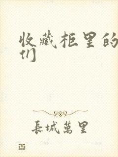 收藏柜里的男人们