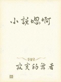 小说嗯啊封面