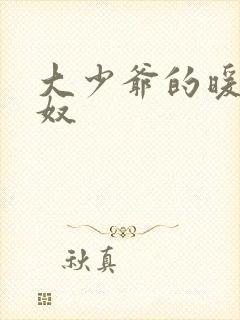 大少爷的暖床小奴封面