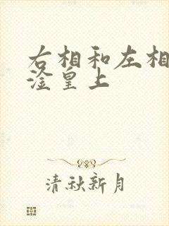 右相和左相一起淦皇上封面