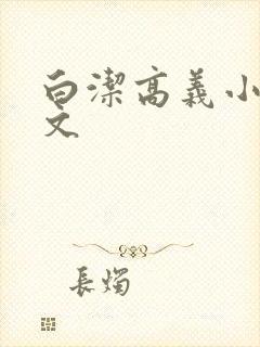 白洁高义小说全文