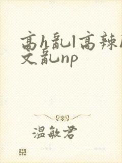 高h乱l高辣h文乱np